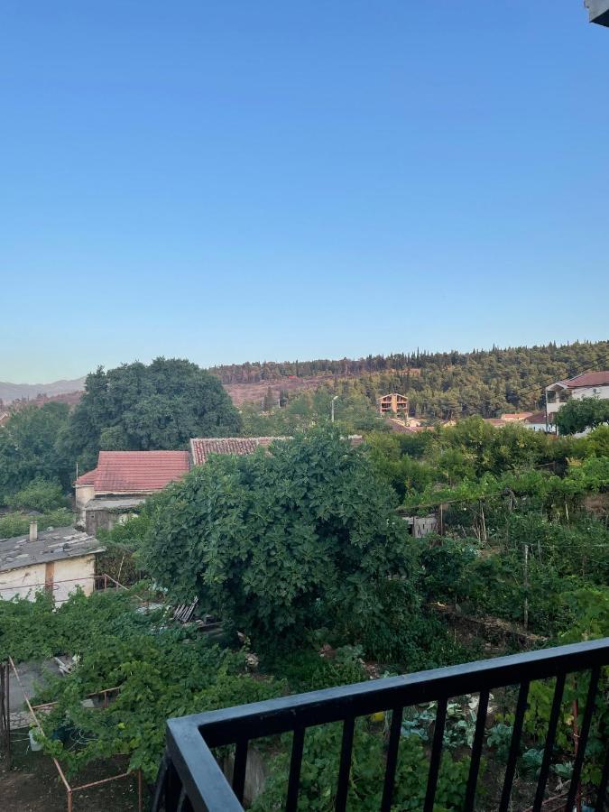 Entire Spacious Apartment With Free Parking Podgorica Exteriör bild